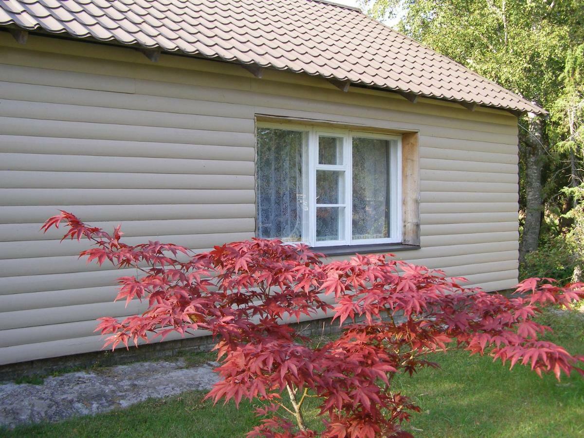 Kipi-Koovi Holiday Centre Buitenkant foto